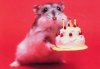 happy-birthday-gifs.jpg