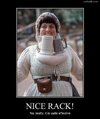Nice_Rack712.jpg