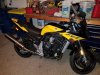 FZ 1000 Bumble bee.jpg