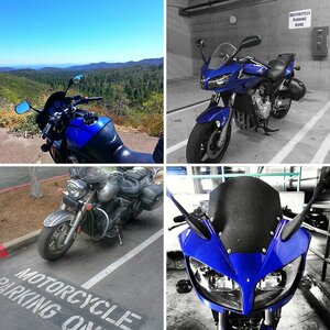 Bike of the Month Entries