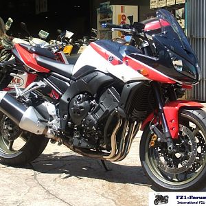 Wolf_in_wolf_s_clothing