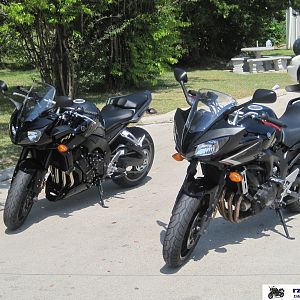 FZ1 & FZ6 side by side