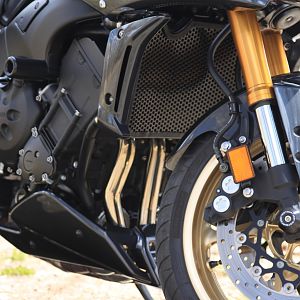 Custom Painted parts