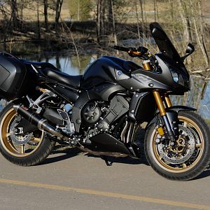 2008 FZ-1 by the pond