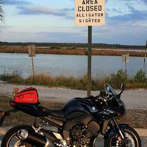 Alligator Pond