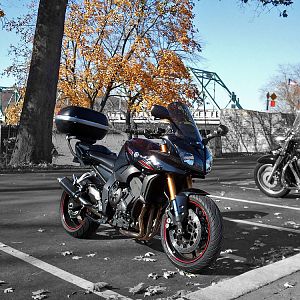 My FZ1 in Frenchtown
