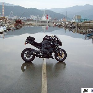 October 2011 Winner - Bewarethefuzz