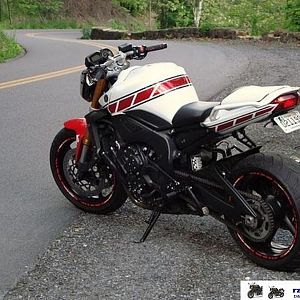 August 2011 Winner - CorrectionsK9