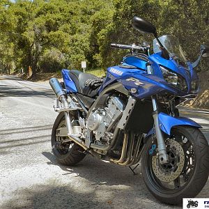 June 2011 - Buddoggin