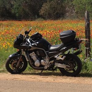 Yes, the flowers are also beautiful...