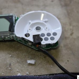 185153_4082263736105_2001817778_n