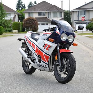 A beautiful day in the neighbourhood