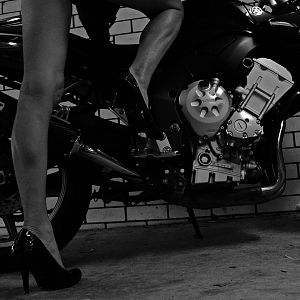 Rainy Day alternative..... 2008 FZ1-S