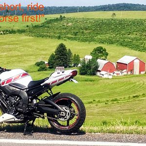 "Life is too short, ride  your best horse first!"