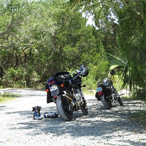 Hot in Lower Suwannee