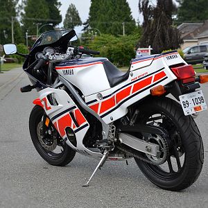 Check Out My Bottom!