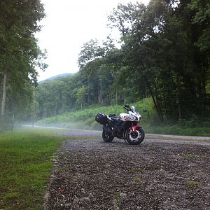 2011 Anniversary Edition FZ1