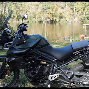 We don't hibernate in Texas