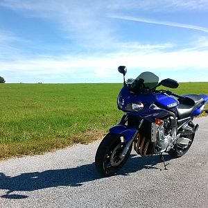 Jessamine Lake Dade City Florida