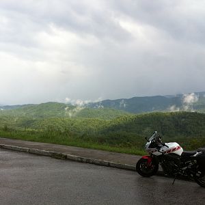 Rainy Parkway Cruise