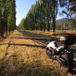 Marysville VIC evening sunshine