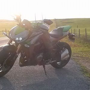 2014 Z1000 on Trilby Road