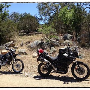 Thumper & Beast in the Hill Country