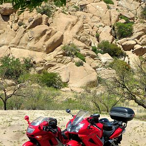 Refuge from the Arizona sun