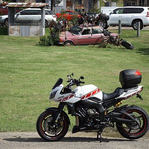 Watch out for V-Twin Ants!