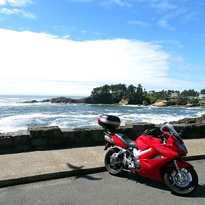 Bike, sea & a bird guest