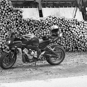 Black And White- Ardennes