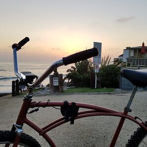 Schwin Beach Cruiser.jpg