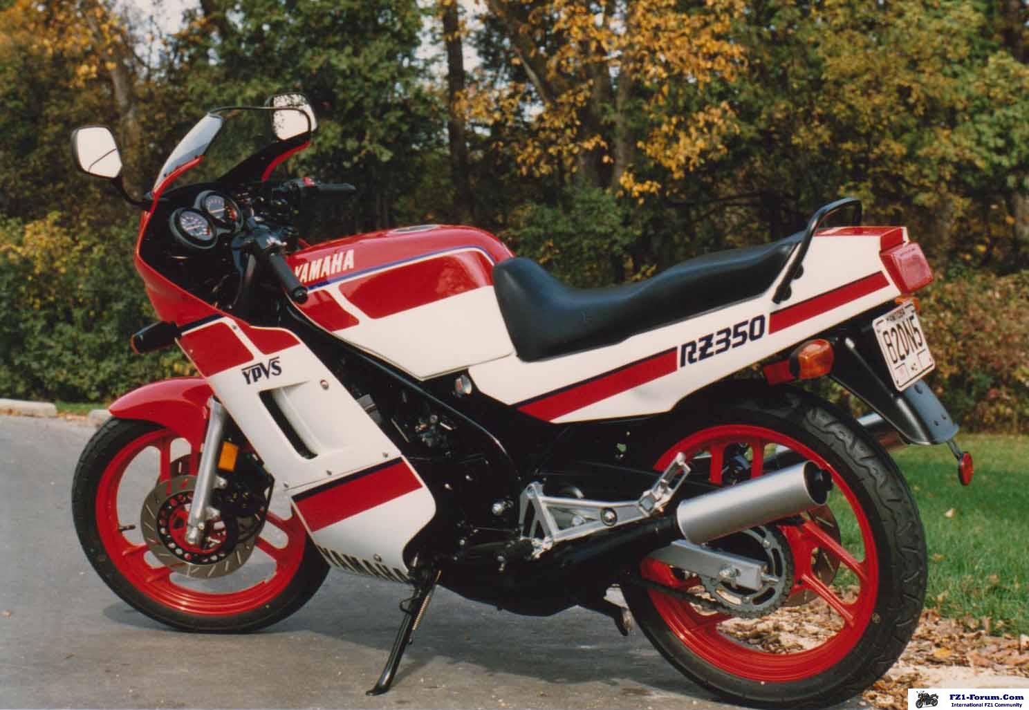1986 RZ 350 S