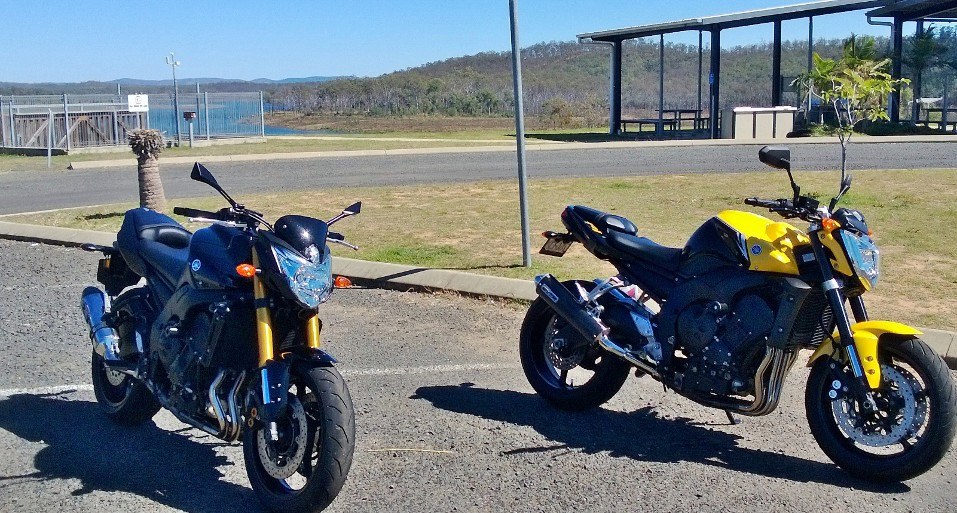 Our FZ1n and FZ8n