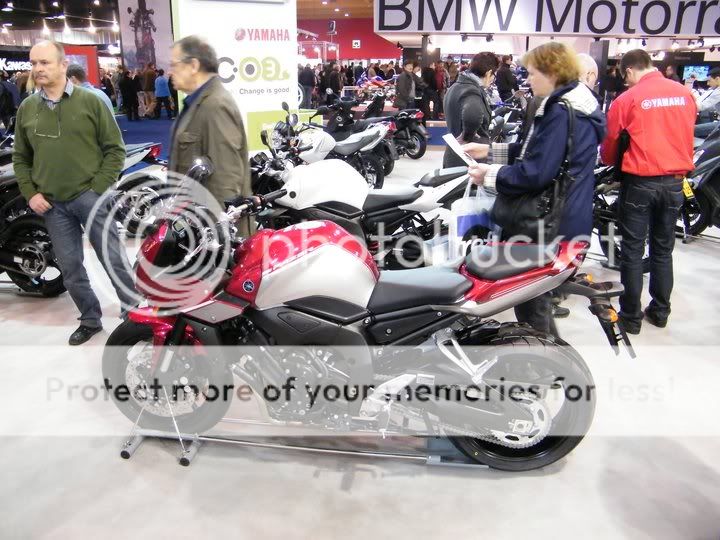 fz1paintschemeEuropean.jpg