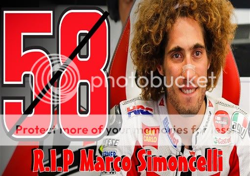 FTC_MAL_Simoncelli_02.jpg