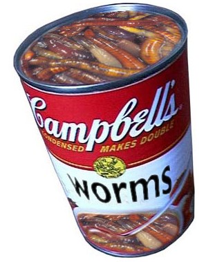 Can+of+Worms.jpg